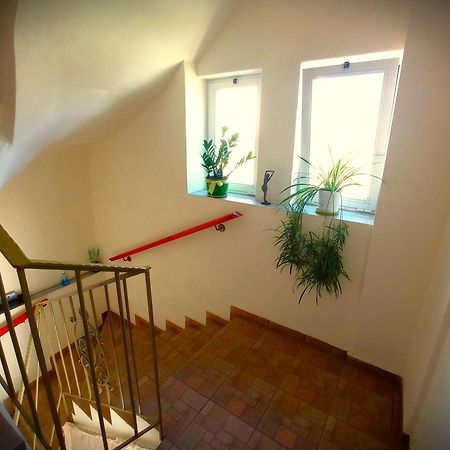 Tasos Seagull Apartments Ханья Экстерьер фото