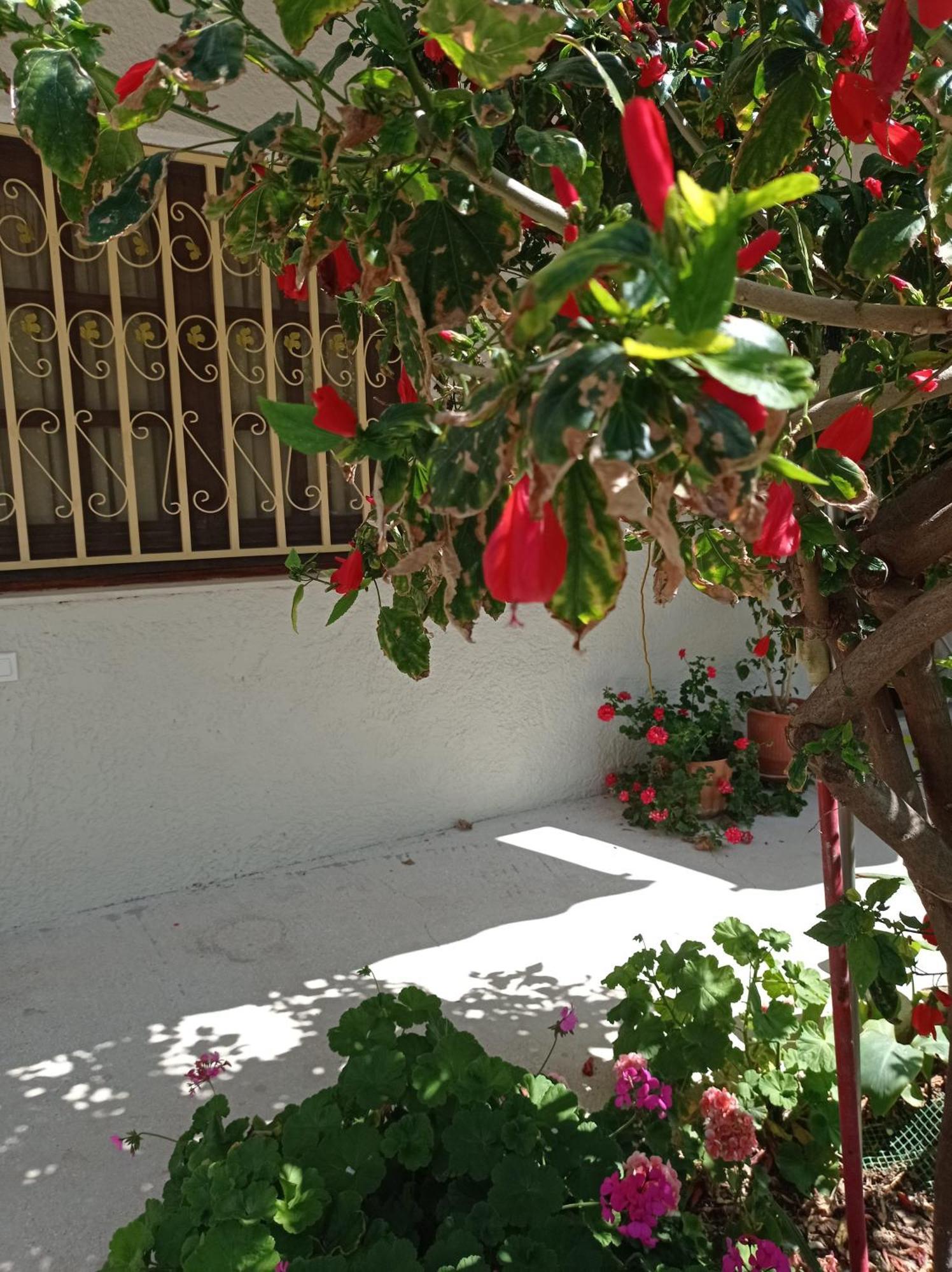 Tasos Seagull Apartments Ханья Экстерьер фото